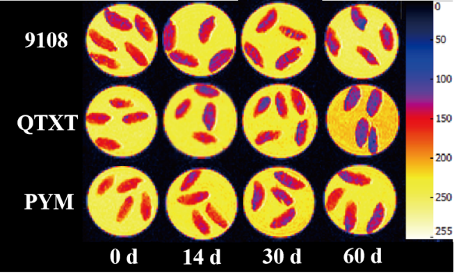 “星空登录入口（中国）杯”江南大学优秀案例解析|不同冷冻储藏期速冻米饭水分分布变化规律探究